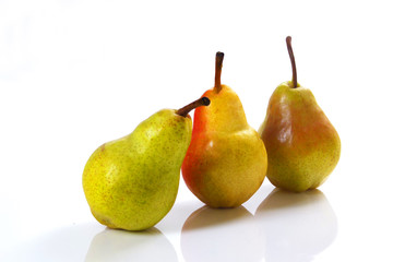 Drei Birnen auf weißem Hintergrund / Three Pears on a white back