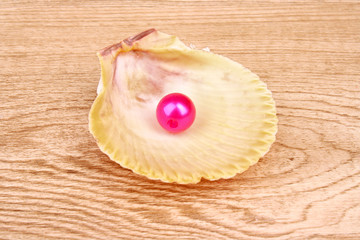 Red pearl in seashell