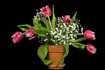 Tulip Bouquet