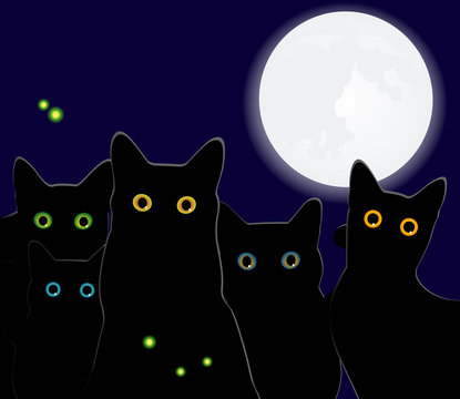 Black Cats by Night! - Black cats under the full moon.