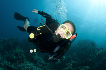 Naklejka na ściany i meble scuba divers exsplore coral reef in the red sea