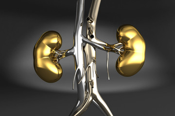 Metallic Kidney 3