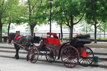 Fototapeta premium Horse Carriage