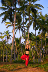 Woman in tree pose Vrikshasana