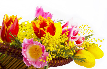 Spring flowers in a basket