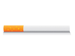 eps8 vector isolated cigarette - detailed realistic illustration