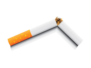 isolated broken cigarette - detailed realistic illustration