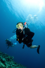 Naklejka na ściany i meble scuba divers exsplore coral reef in the red sea