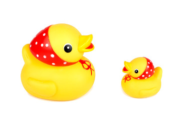 two yellow ducks isolation