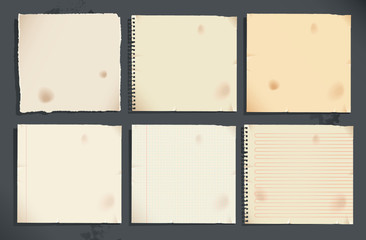 Set of notebook pages and torn paper