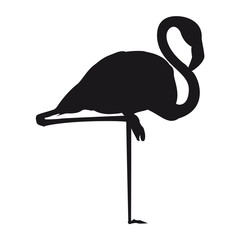 Shadow vector bird flamingo illustration