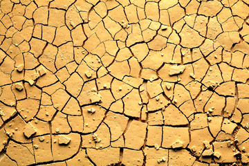 Dried cracked earth