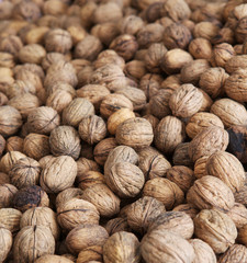 Walnuts at the Market