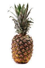 Fototapeta premium Pineapple