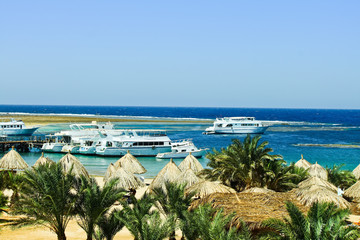 beach on the Red Sea