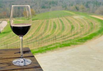 Vineyard