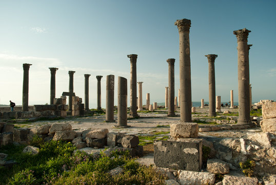 verso il cielo