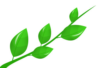 Obraz premium Green branch