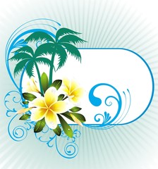 Fototapeta na wymiar Summer tropical background with frangipani flowers