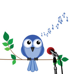 bird singing into a microphone with copy space
