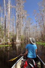Woman Paddling a Canoe - Okefenokee Swamp, Georgia