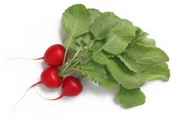 radish