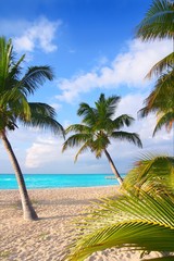 Caribbean North beach palm trees Isla Mujeres Mexico