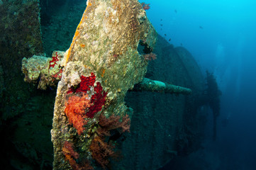 battle guns on the SS Thistlegorm, red sea
