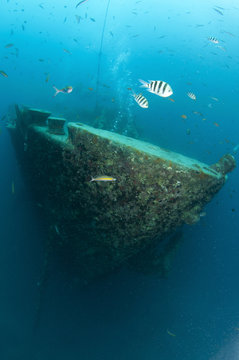 Bow of the SS Thistlegorm in the red sea