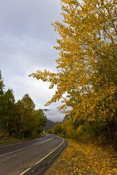 autumn mountain road