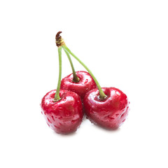Sweet cherry
