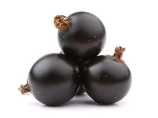 currant