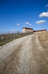 Italian villa with vineyard: spring season