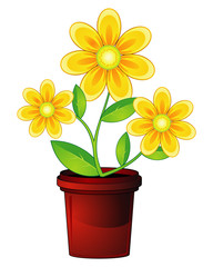 Flower and flowerpot