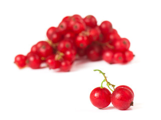 red currant