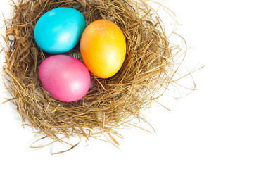 Easter eggs in bird nest