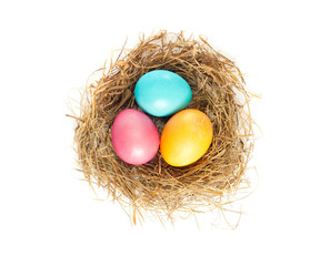 Easter eggs in bird nest