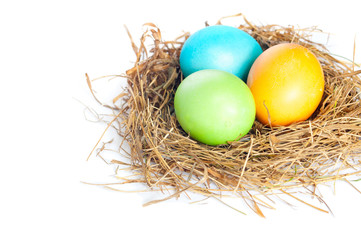 Easter eggs in bird nest