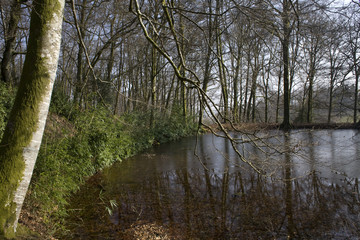 nature
