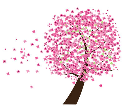 vector cherry tree in the wind