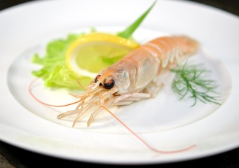 Delikatesse