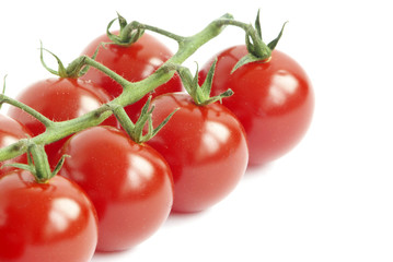 tomato