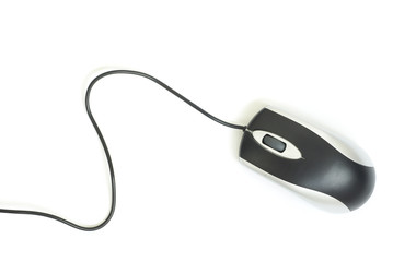 computer mouse
