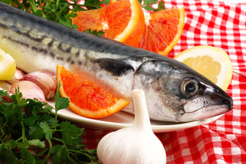 SGOMBRO IN PRIMO PIANO