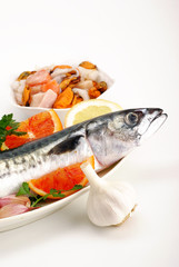 SGOMBRO CON CONTORNO