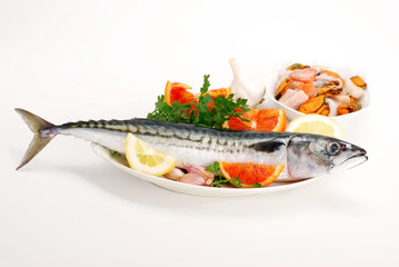 SGOMBRO CON ANTIPASTO DI MARE