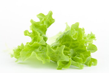 Green lettuce salad 14