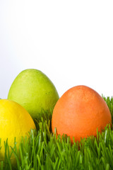 Naklejka premium easter eggs in grass