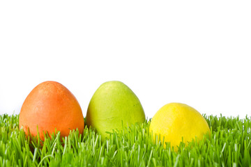 easter eggs in grass