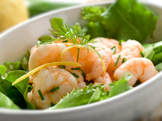 shrimp salad